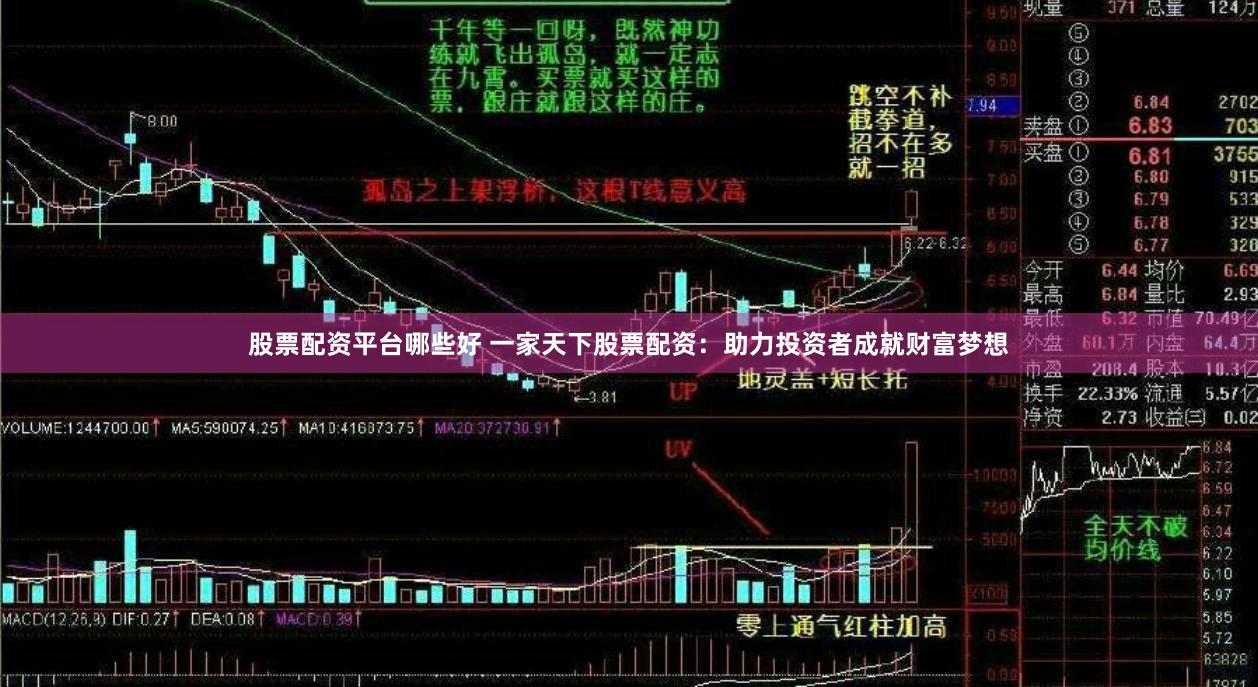 股票配资平台哪些好 一家天下股票配资：助力投资者成就财富梦想