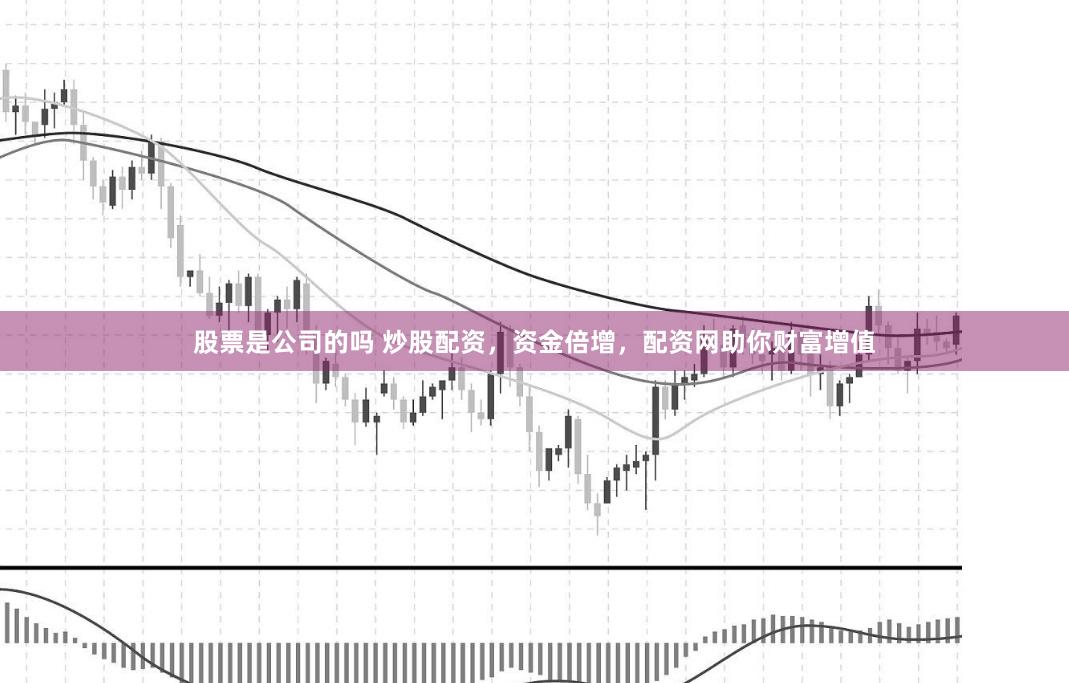 股票是公司的吗 炒股配资，资金倍增，配资网助你财富增值