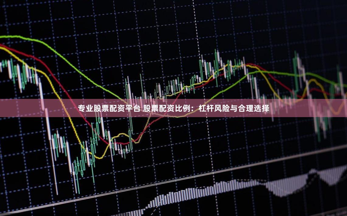专业股票配资平台 股票配资比例：杠杆风险与合理选择